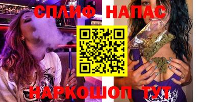 крисы Будённовск