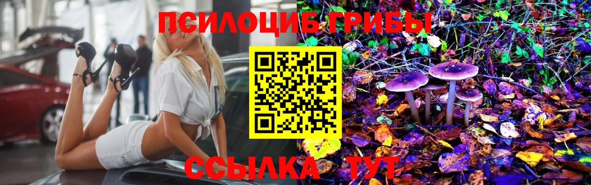 Галлюциногенные грибы мицелий  Галлюциногенные грибы Cubensis  Вход с VPN  Тверь 